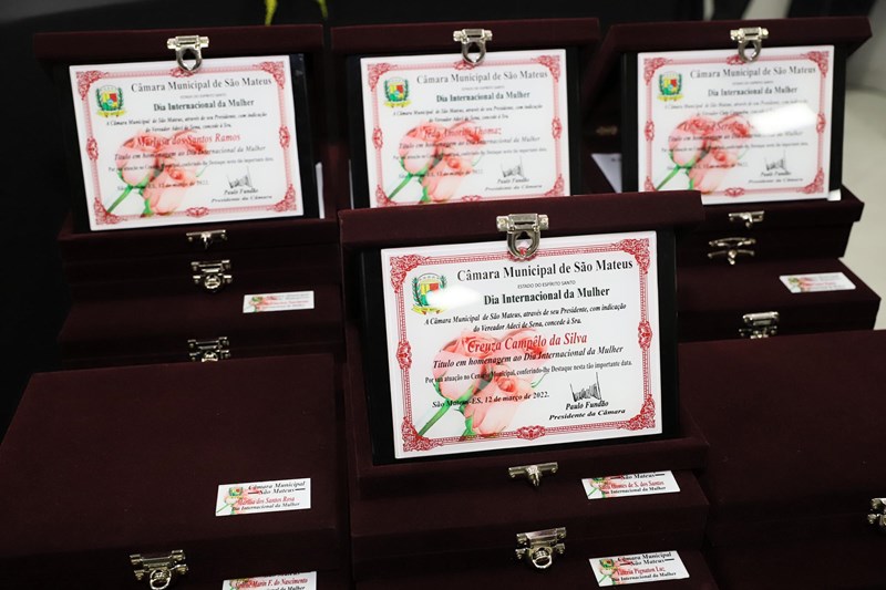 Vice-governadora recebe homenagem da Câmara de São Mateus