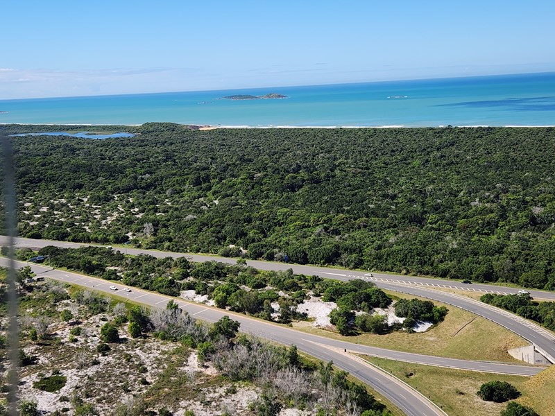 Governo anuncia edital do Programa Reflorestar e nova sede do Parque Estadual Paulo Cesar Vinha no Dia Mundial do Meio Ambiente