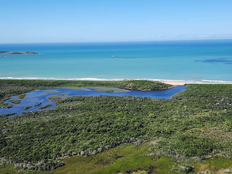 Governo anuncia edital do Programa Reflorestar e nova sede do Parque Estadual Paulo Cesar Vinha no Dia Mundial do Meio Ambiente