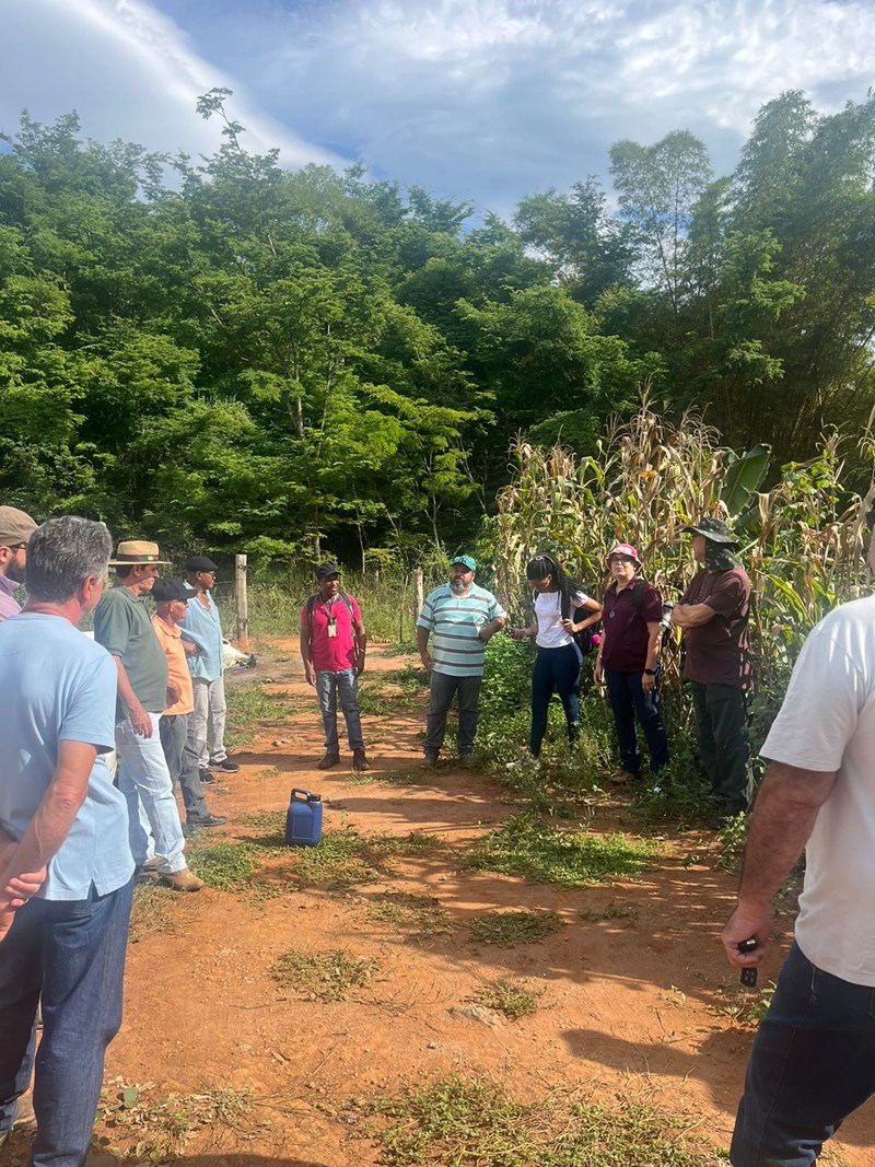 Projeto incentiva adoção de Sistemas Agroflorestais (SAF) em propriedades do Estado