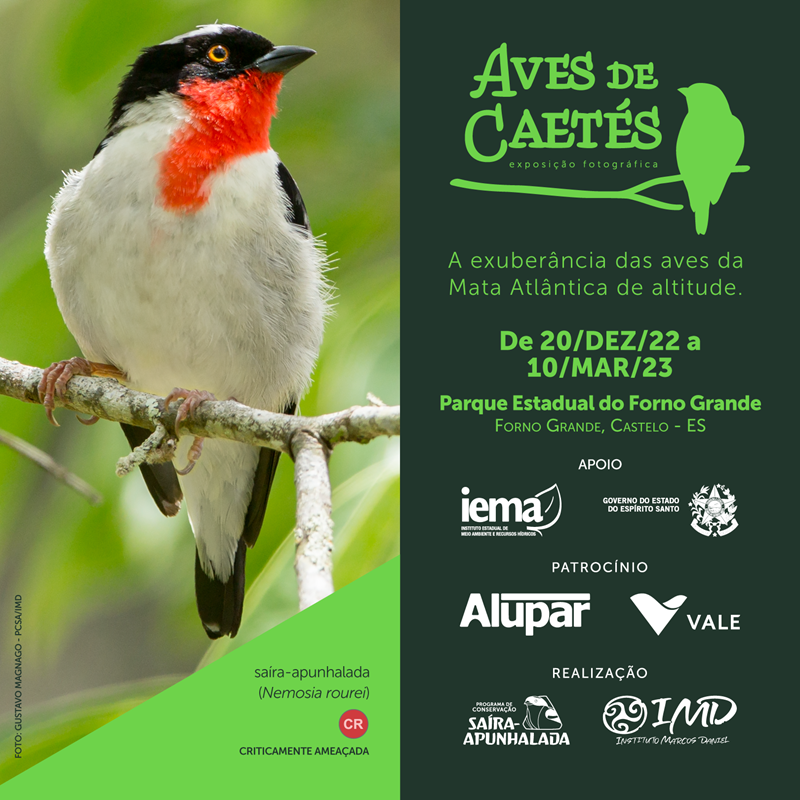 Parque Estadual do Forno Grande recebe exposição fotográfica ‘Aves de Caetés’