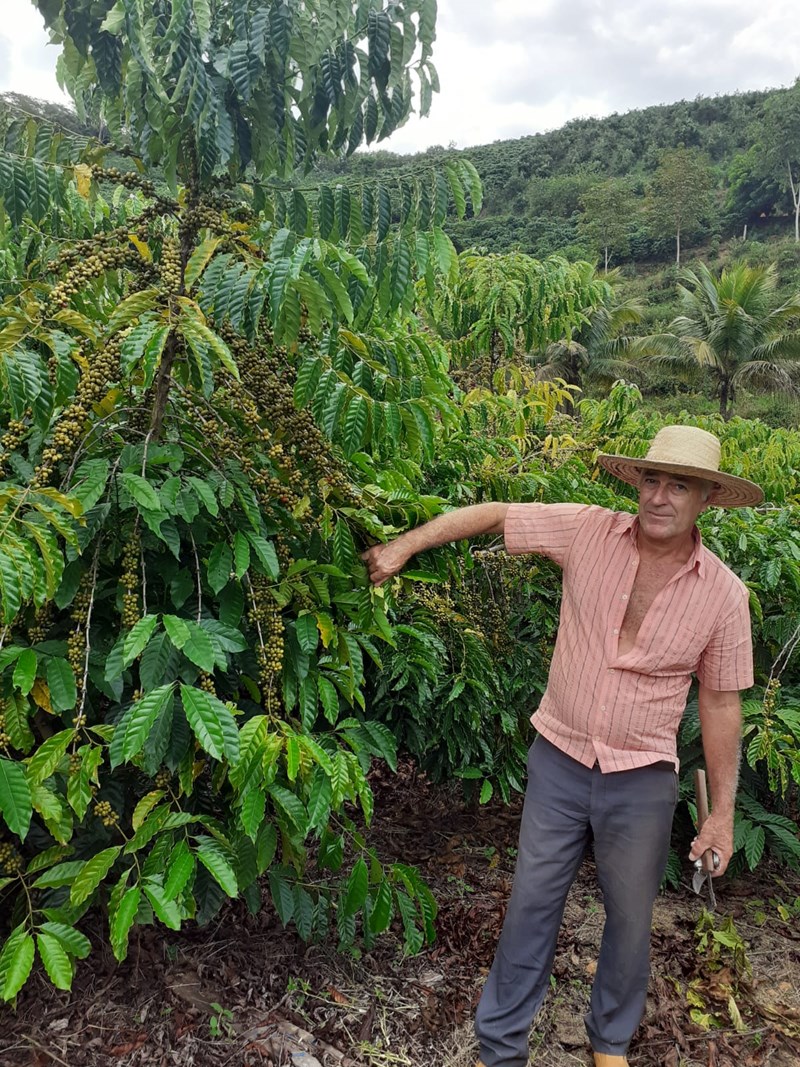 Família produz café e citros e diversifica renda com auxílio do Incaper