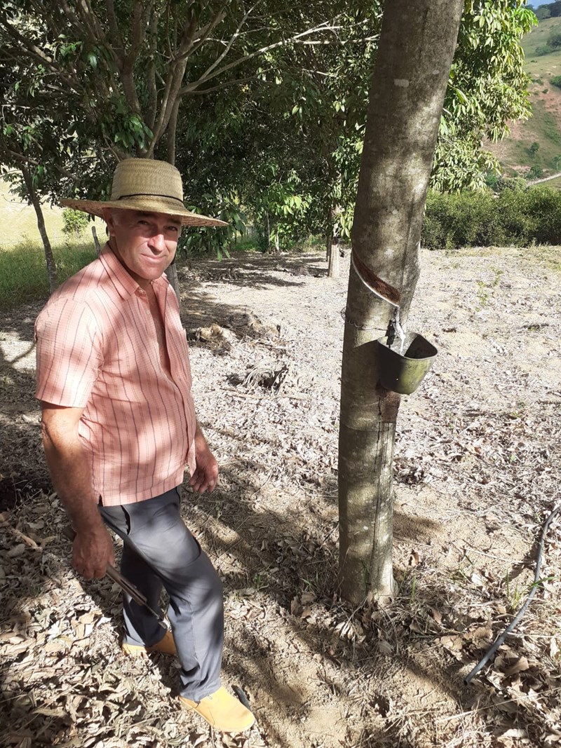 Família produz café e citros e diversifica renda com auxílio do Incaper