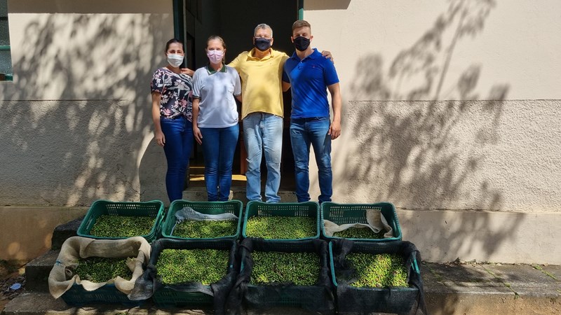 Espírito Santo terá primeiro azeite produzido em terras capixabas