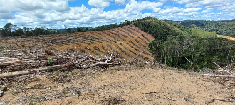 Idaf flagra mais de cinco hectares de vegetação destruídos em Santa Maria de Jetibá