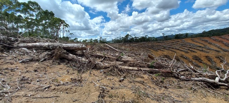 Idaf flagra mais de cinco hectares de vegetação destruídos em Santa Maria de Jetibá