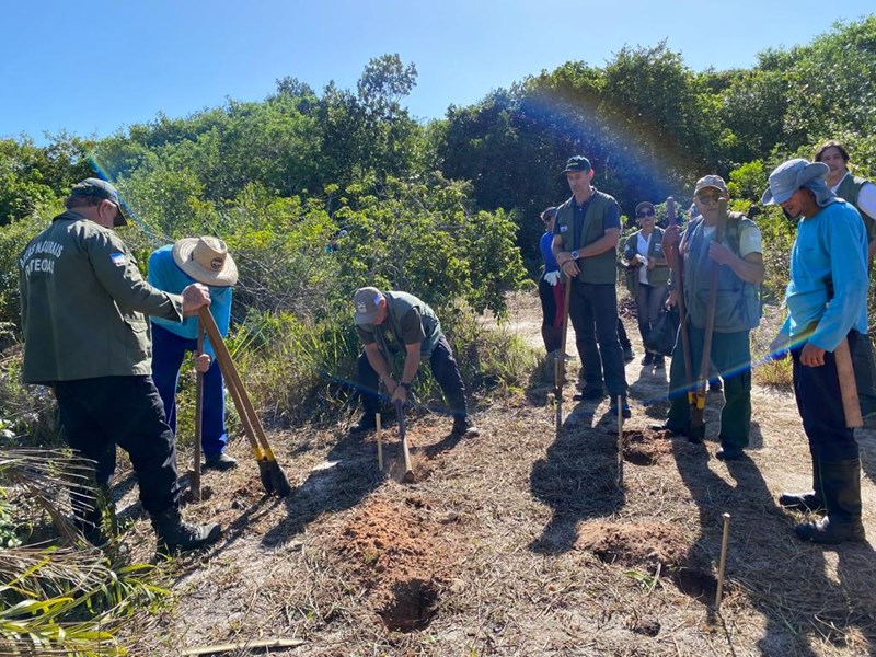 Parque Estadual Paulo César Vinha realiza ações de preservação para comemorar o Dia da Floresta de Restinga