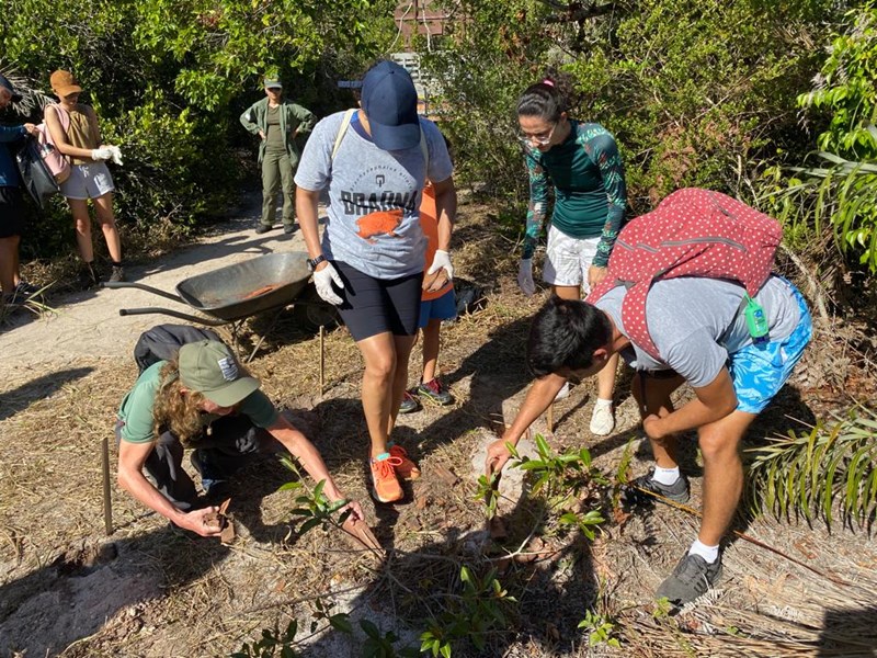 Parque Estadual Paulo César Vinha realiza ações de preservação para comemorar o Dia da Floresta de Restinga