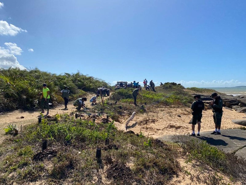 Parque Estadual Paulo César Vinha realiza ações de preservação para comemorar o Dia da Floresta de Restinga