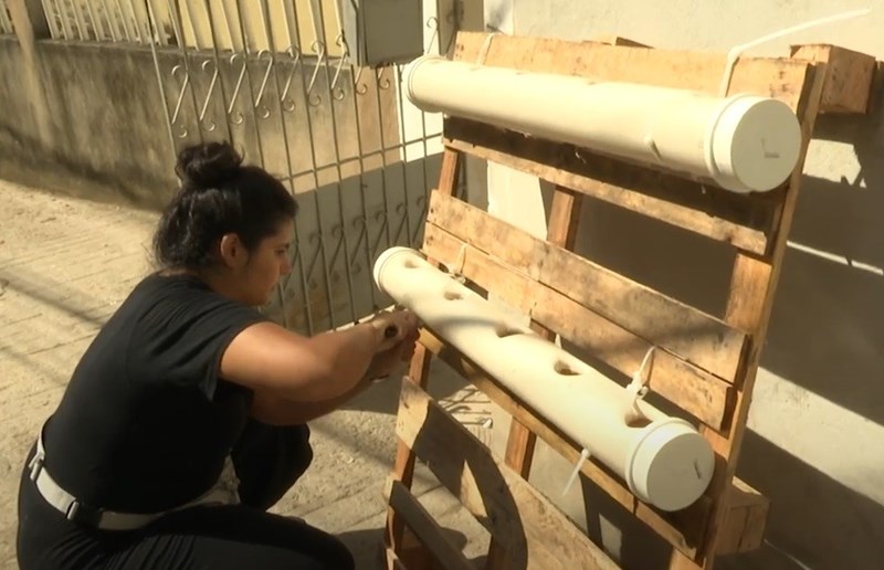 Fapes apoia projeto de hortas comunitárias em bairro de Vitória