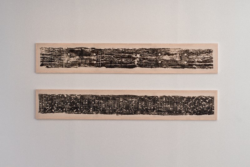 Funcultura: exposição “Descarrilho” está aberta para visitação no Museu de Arte do Espírito Santo