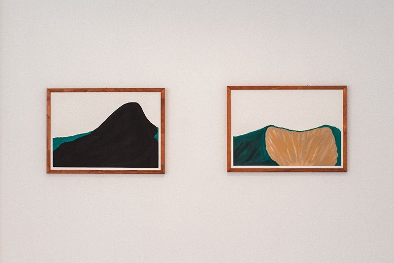 Funcultura: exposição “Descarrilho” está aberta para visitação no Museu de Arte do Espírito Santo