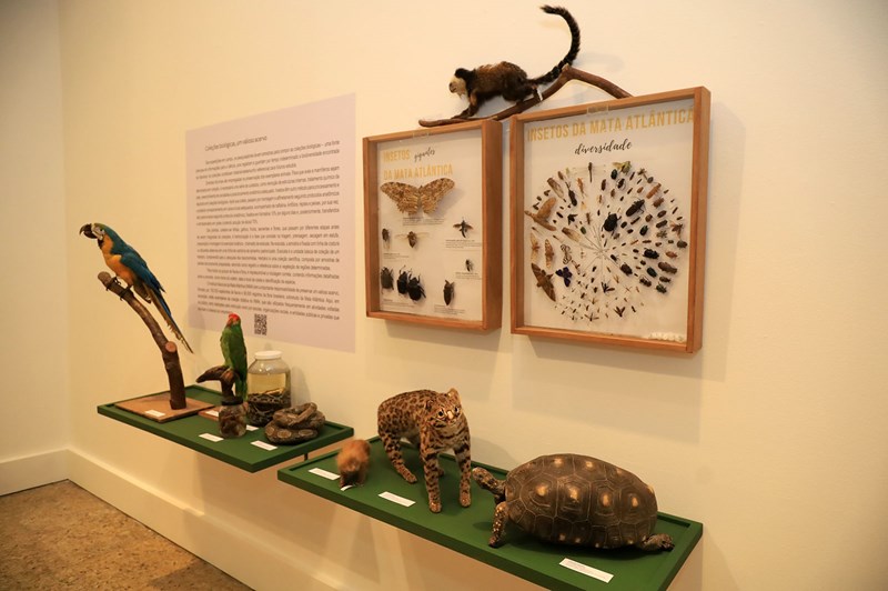 Palácio Anchieta recebe a exposição “Novos Viajantes” com trabalhos de 34 artistas do Espírito Santo