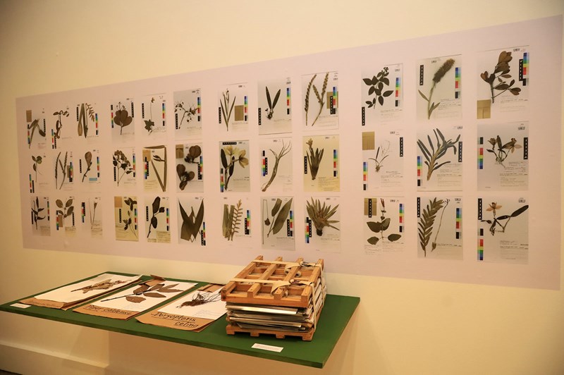 Palácio Anchieta recebe a exposição “Novos Viajantes” com trabalhos de 34 artistas do Espírito Santo