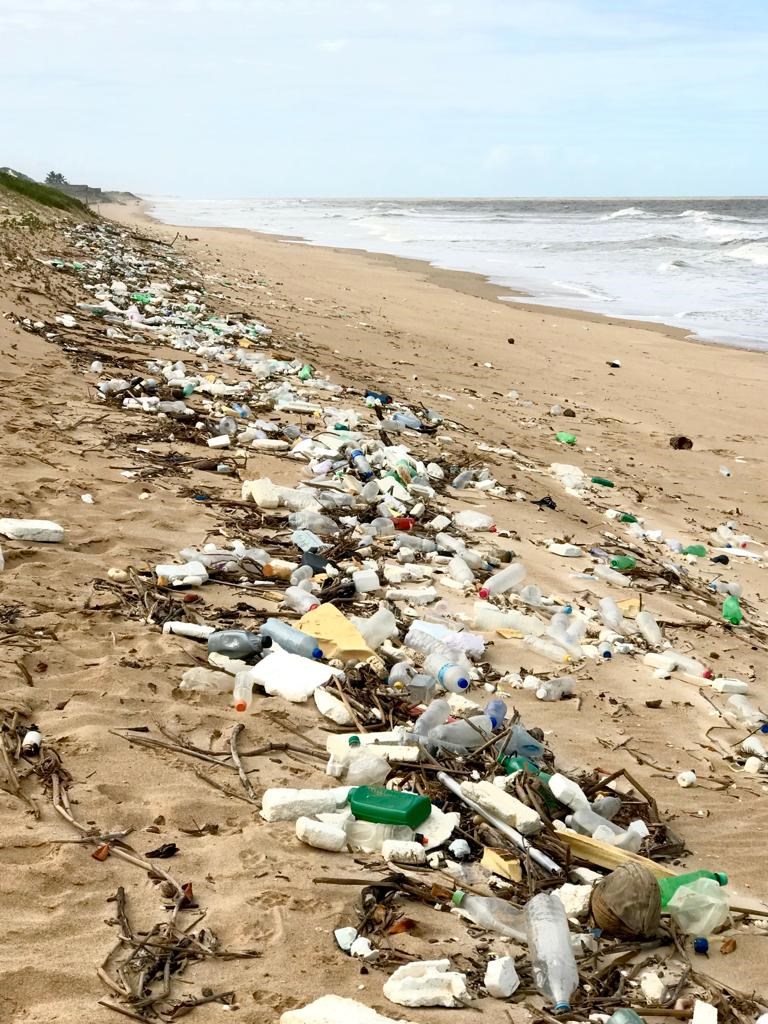 Comunidade local realiza mutirão de limpeza no Parque Estadual de Itaúnas