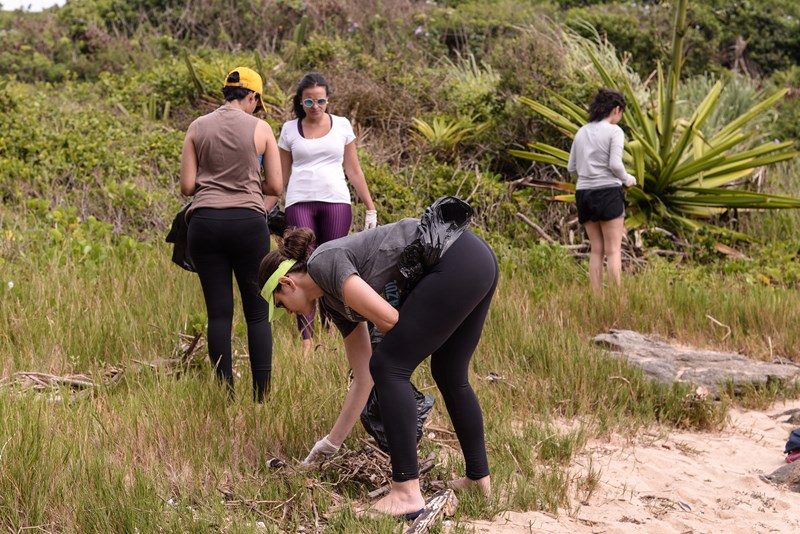 Iema realiza mutirão de limpeza no Arquipélago das Três Ilhas
