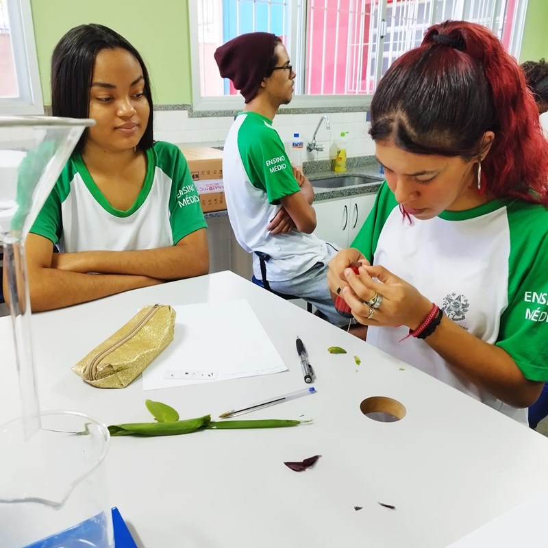 Reestruturação de laboratório em escola de Viana potencializa aulas práticas e dinâmicas