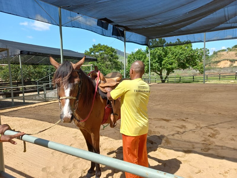 Equoterapia retoma atividades na Penitenciária Agrícola do Espírito Santo