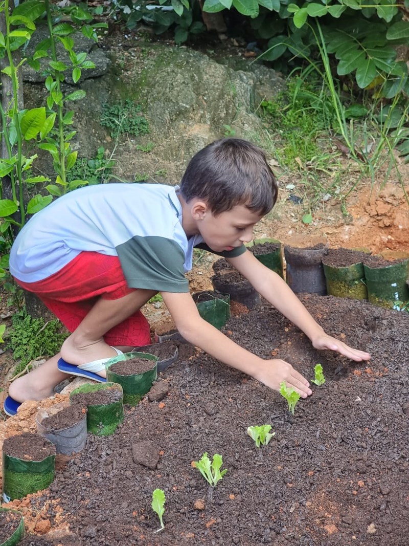 Fapes apoia projeto de hortas comunitárias em bairro de Vitória