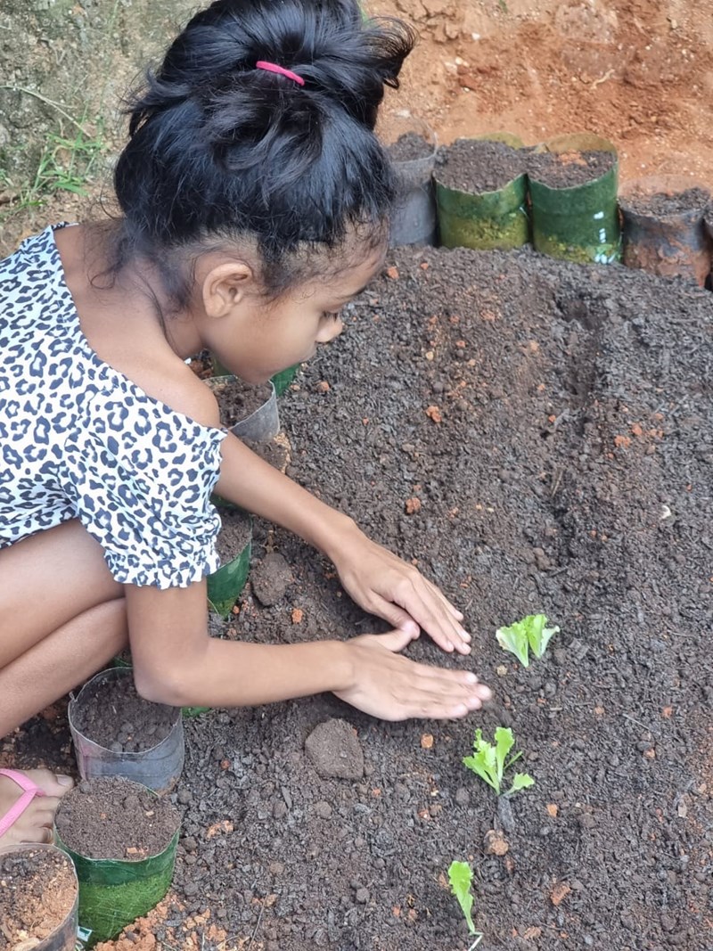 Fapes apoia projeto de hortas comunitárias em bairro de Vitória