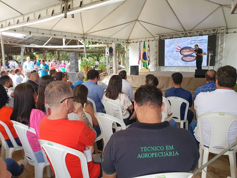 Abertura da colheita do Café Conilon no Estado é realizada em Jaguaré