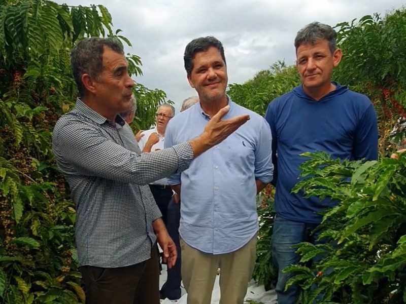 Abertura da colheita do Café Conilon no Estado é realizada em Jaguaré