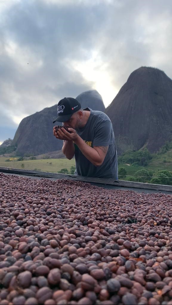 Três em cada quatro estabelecimentos rurais no Espírito Santo são de agricultura familiar
