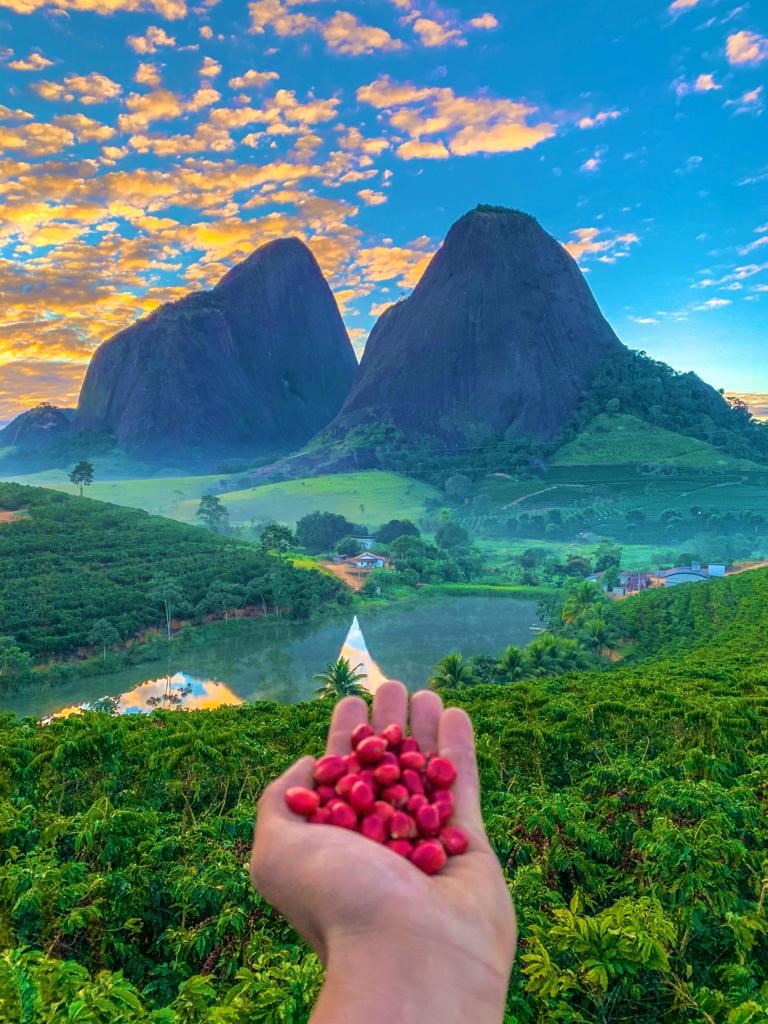 Três em cada quatro estabelecimentos rurais no Espírito Santo são de agricultura familiar