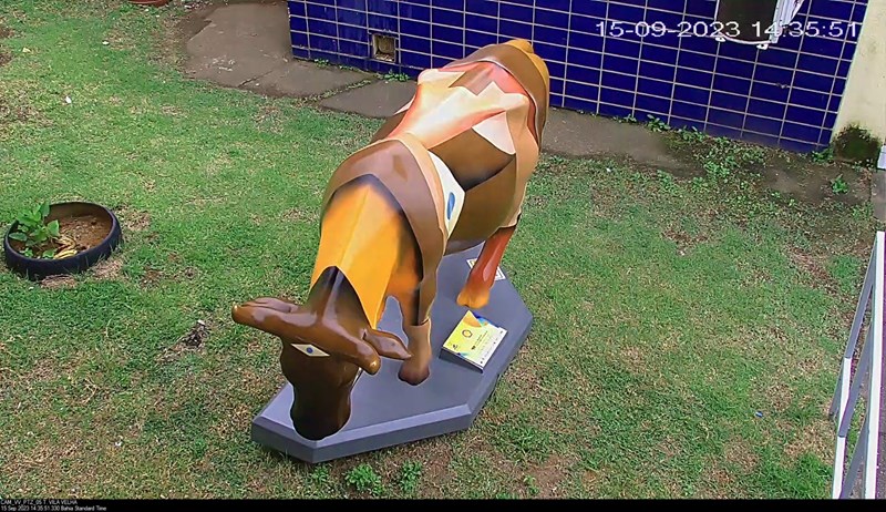 Terminais do Transcol e Rodoviária recebem exposição CowParade Brasil