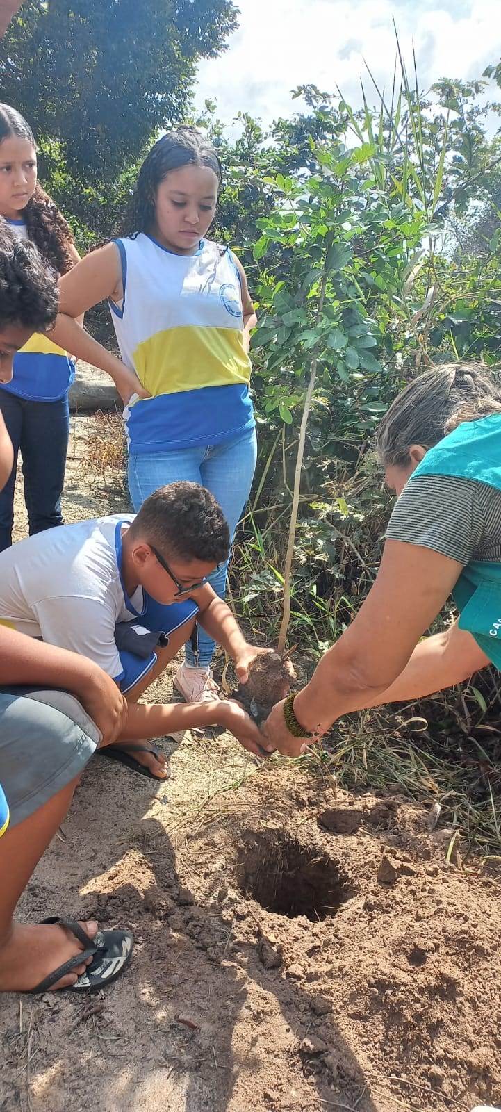 Parques Estaduais realizam atividades no Dia da Árvore
