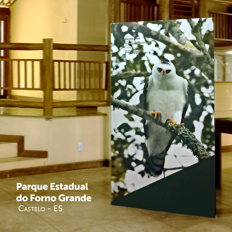 Parque Estadual do Forno Grande recebe exposição fotográfica ‘Aves de Caetés’