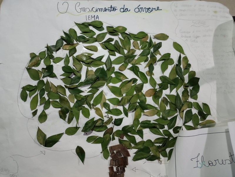 Apresentação musical e poesias marcam o encerramento da Biblioteca Itinerante em Escola de Mimoso do Sul
