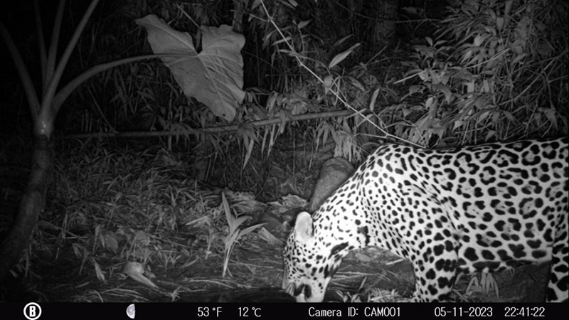 Monumento Natural Serra das Torres disponibiliza ‘Lista de Espécies’ da Fauna