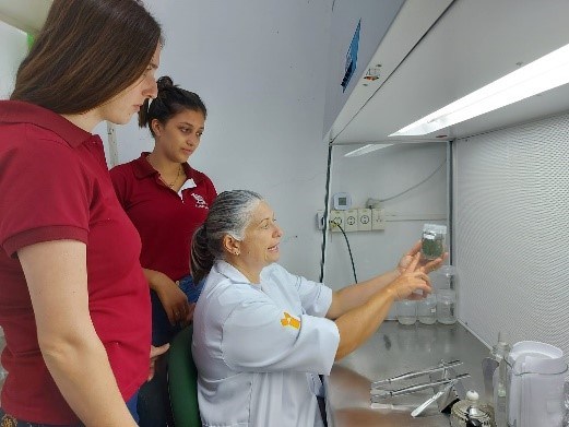 Incaper realiza workshop sobre cultura de tecidos com alunos de curso técnico