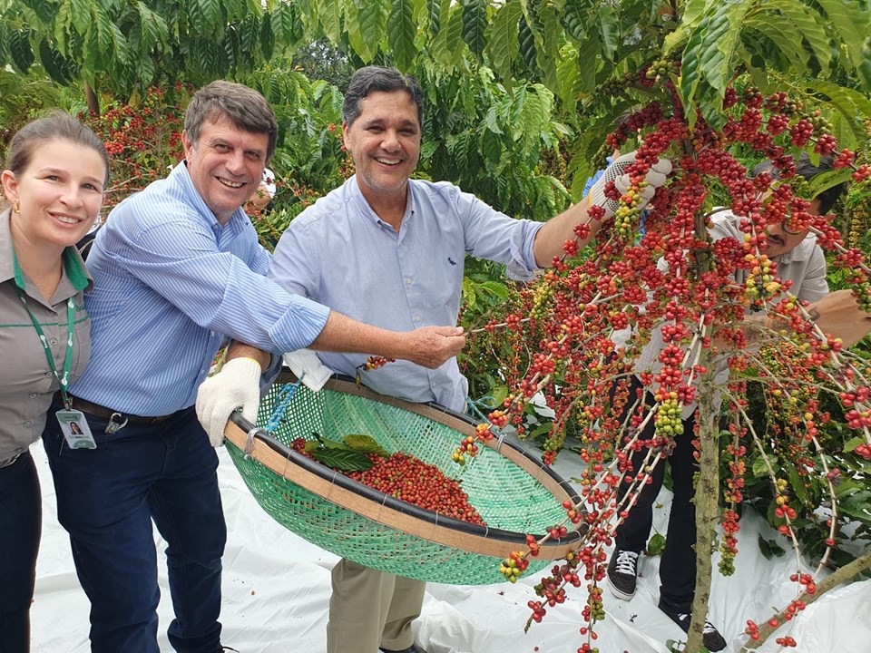 Governo ES - Abertura da colheita do Café Conilon no Estado é