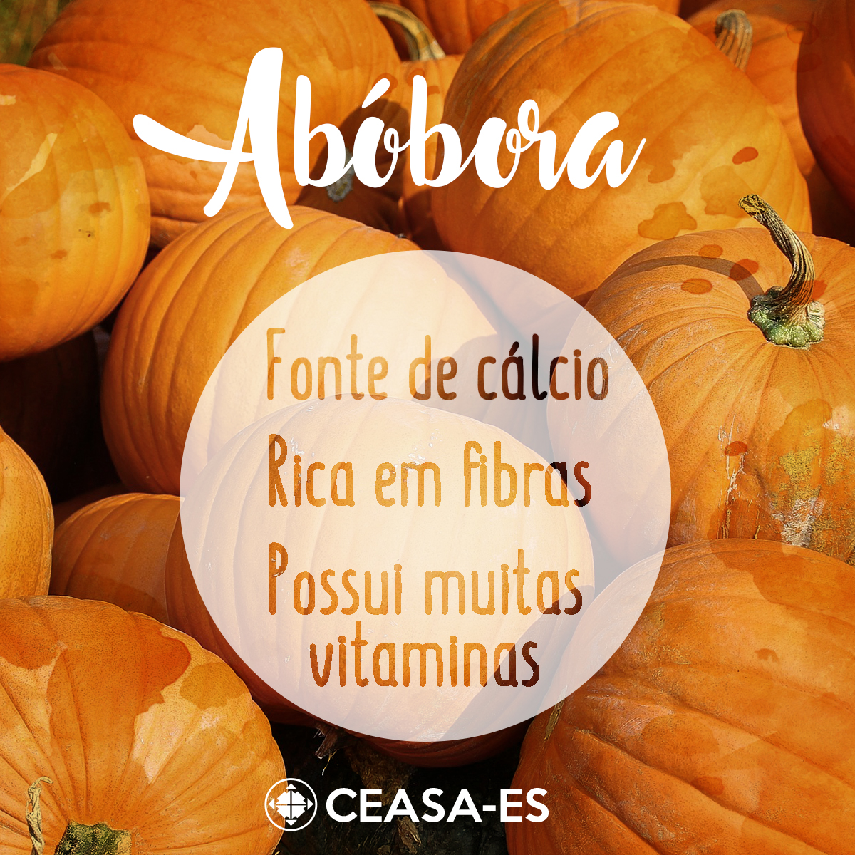Abóbora-Ceasa - cálcio2c fibras e vitaminas|||Fotógrafo:Divulgação