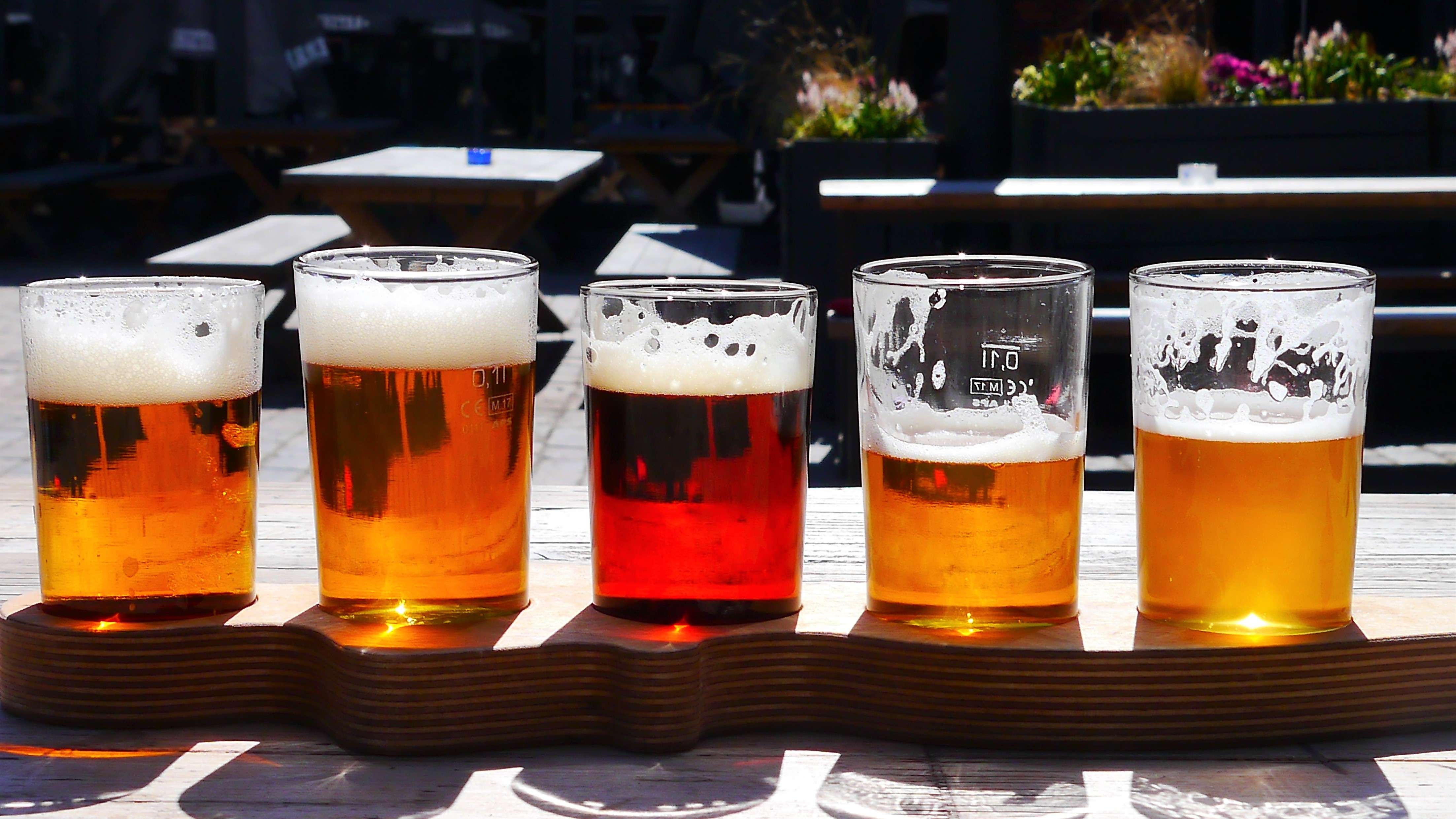 BANDES - Cerveja 10_31 5