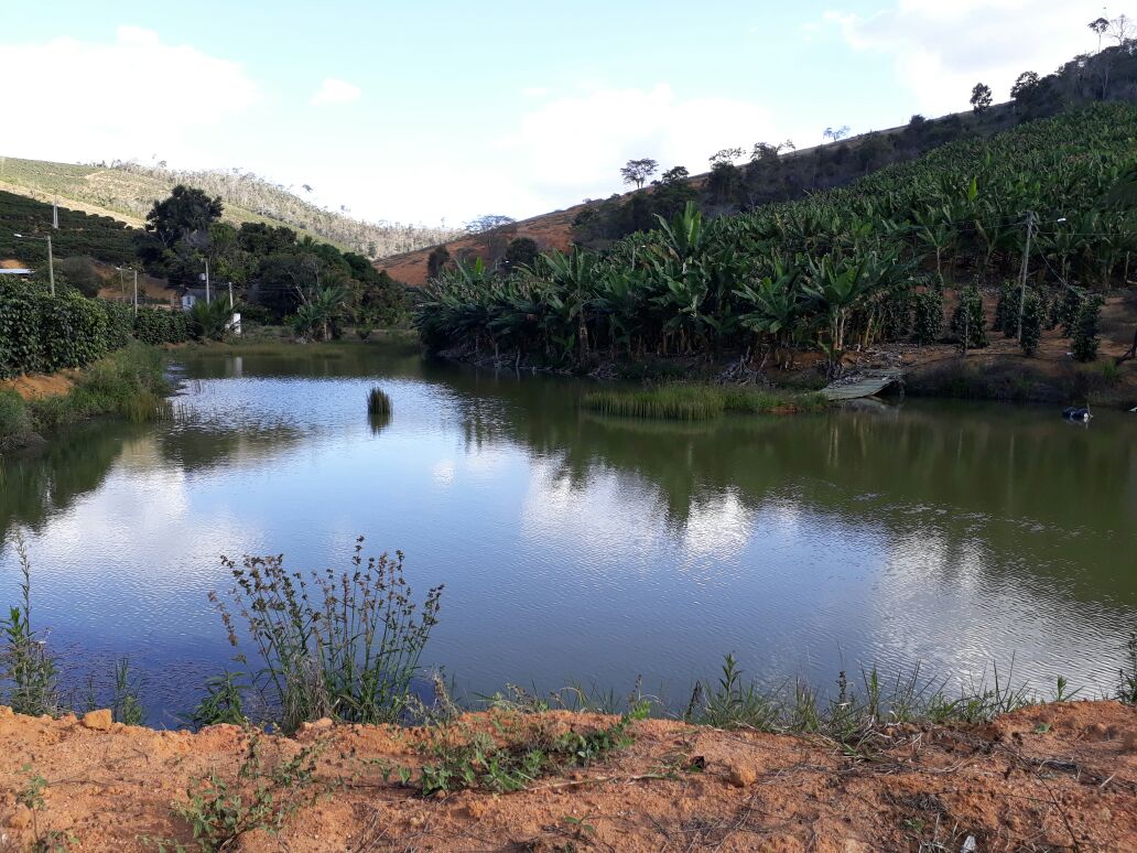 Barragem São Domingos