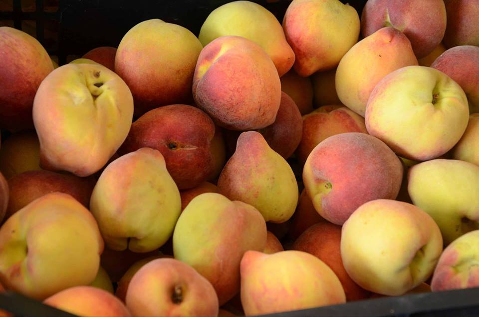 Ceasa - 20122016 - 10406863_410503499132057_6766087642986218104_n|||Fotógrafo:Assessoria de Comunicação/Ceasa