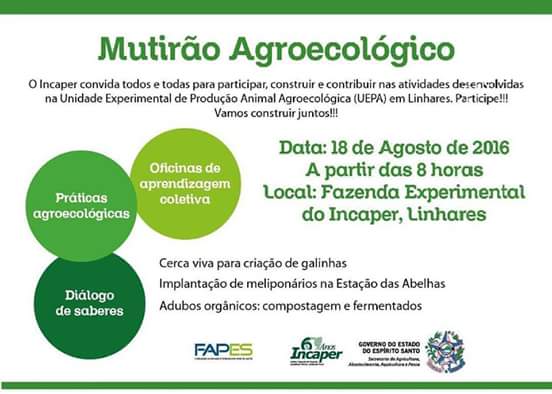 Incaper - 16082016 - mutirão Linhares