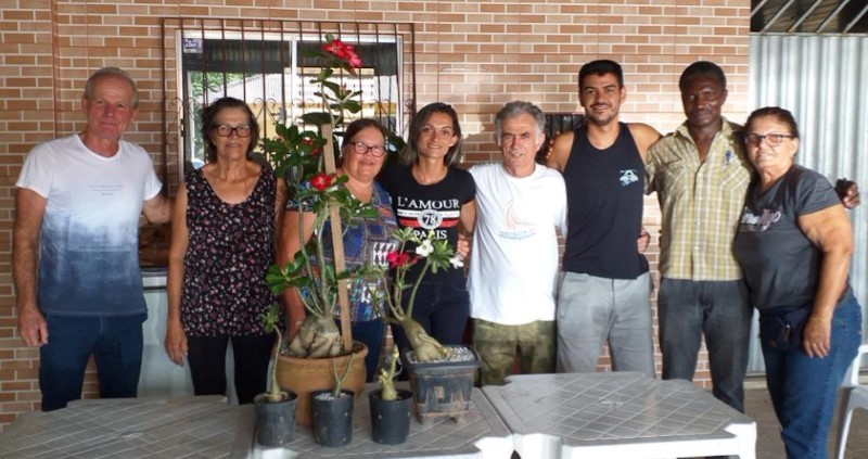 Incaper_CursoRosadoDesertoViana