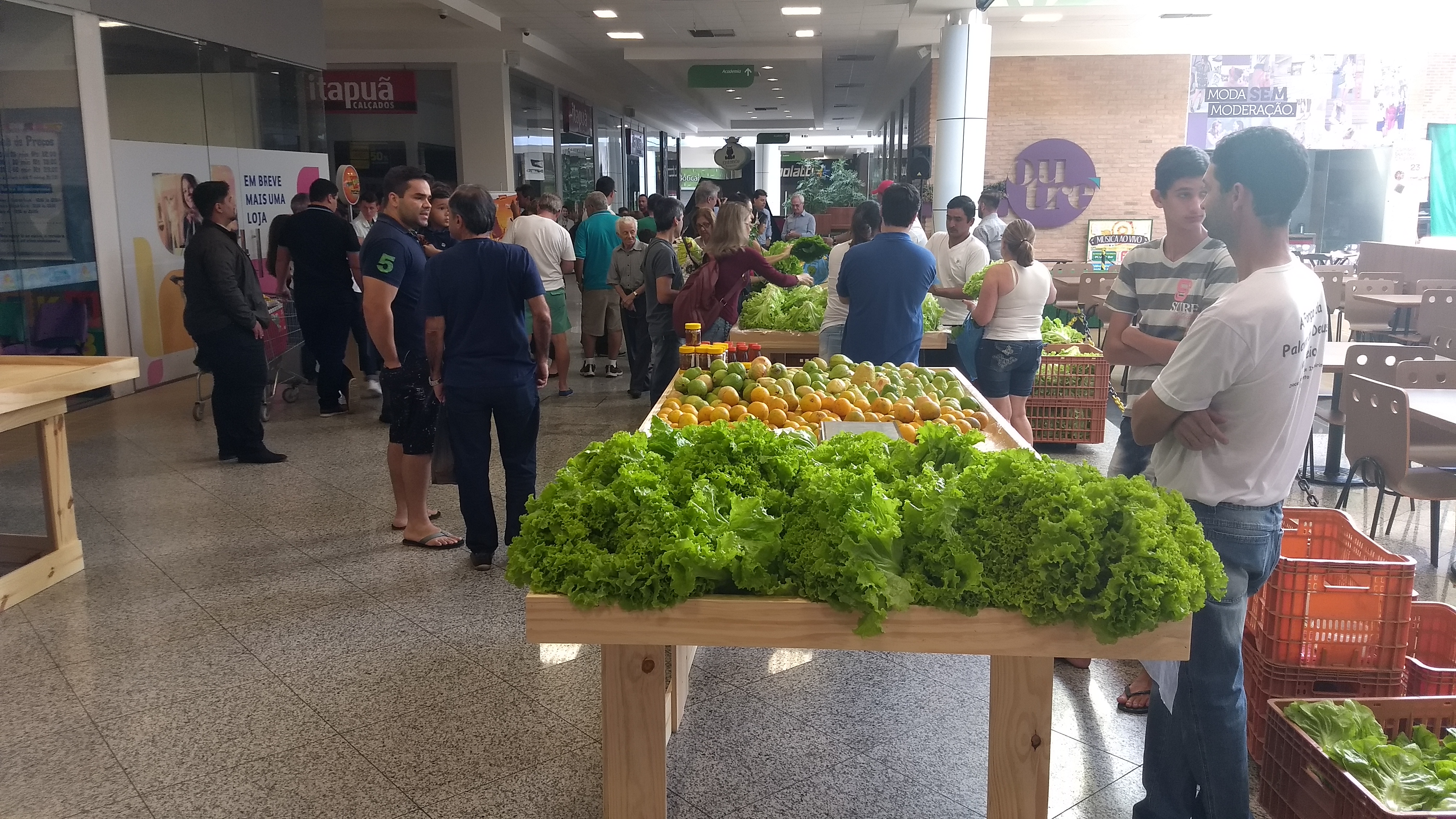 SEAG - FEIRA|||Fotógrafo:Assessoria de Comunicação/Seag