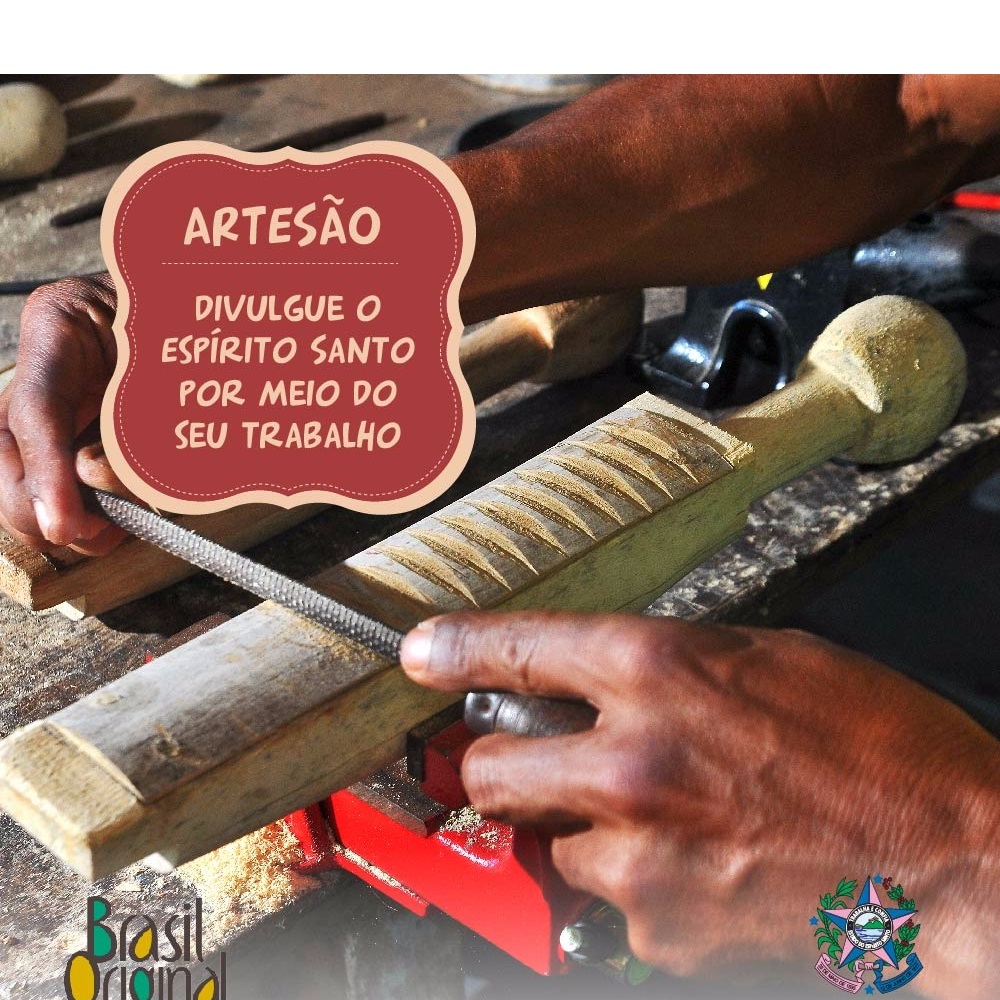 Setades - casaca brasil original