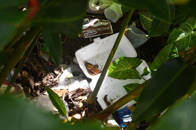 dengue e lixo_Romero Mendonça_jpg