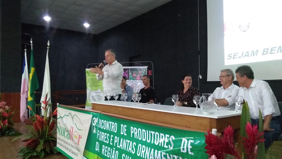 mario flores 01