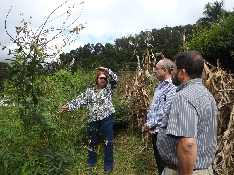 seminario-ppeagro-agroecologia-2019-07-visita-tecnica
