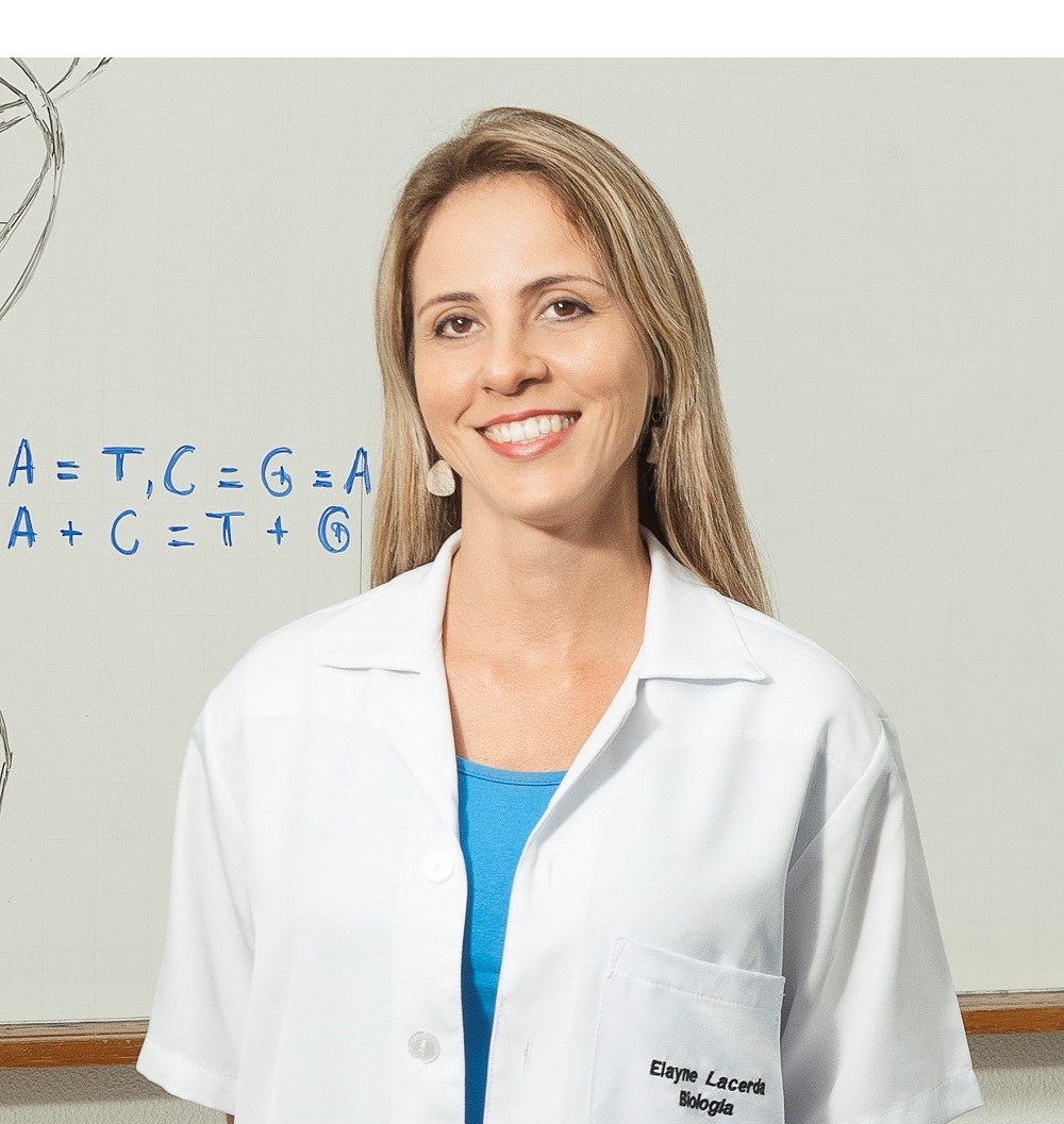 servidor professora_Seger
