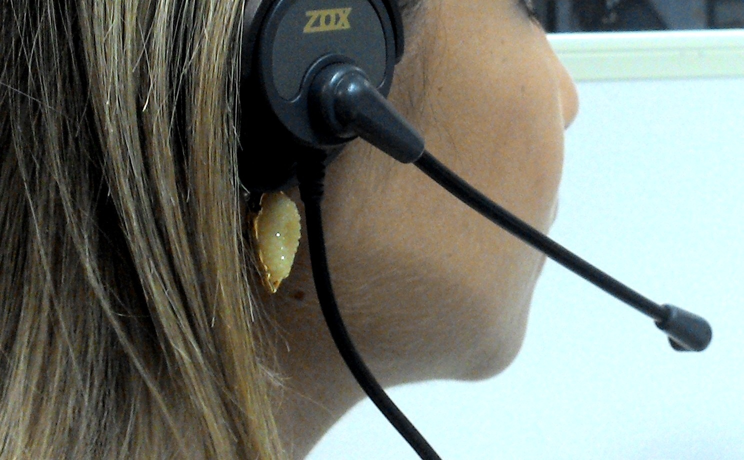 telefonista_Divulgação