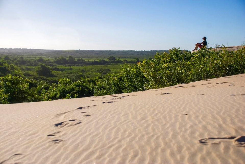 200806010002-Dunas de ItaÃºnas (Paisagem) - Itaunas dunes