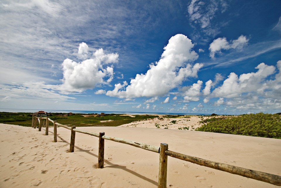 201003010003-Dunas de ItaÃºnas (Paisagem) - Itaunas dunes
